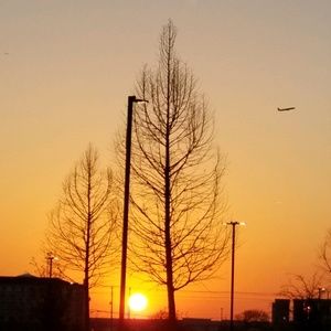 Meet your Posher, Uma